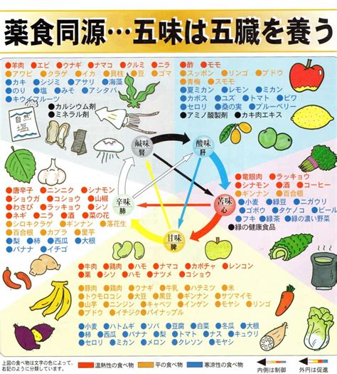 五行 健康|健康を維持する食べ物と身体の関係を中医学的に解説 